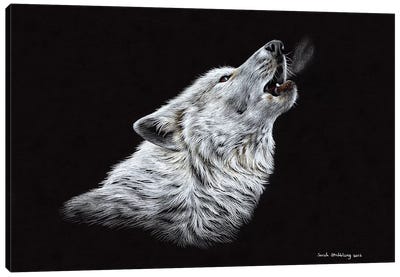 Wolf Howling Canvas Art Print - Sarah Stribbling