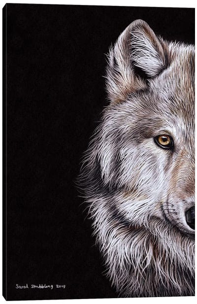 Wolf I Canvas Art Print - Sarah Stribbling