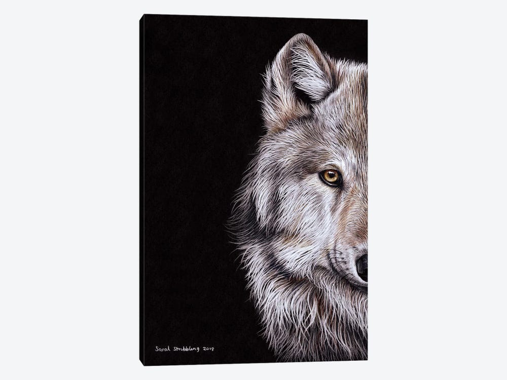 Wolf I by Sarah Stribbling 1-piece Canvas Print