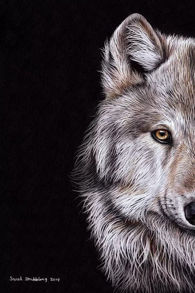 Wolves: Wolf I by Sarah Stribbling
