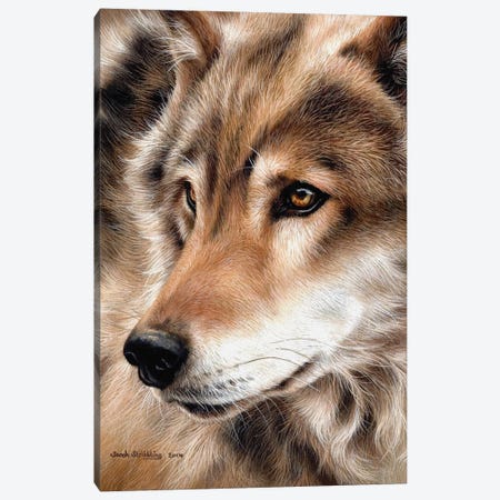 Wolf II Canvas Print #SAS115} by Sarah Stribbling Canvas Artwork