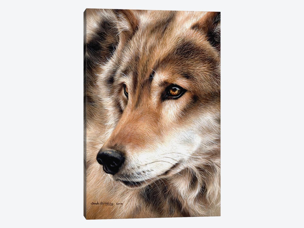 Wolf II by Sarah Stribbling 1-piece Canvas Art