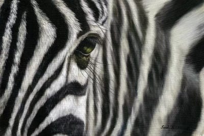 Zebra I by Sarah Stribbling framed wall art