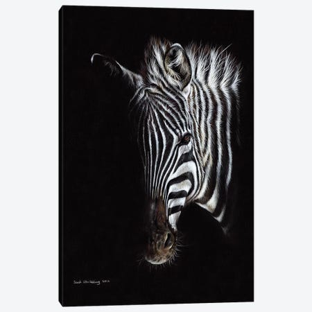 Zebra Black I Canvas Print #SAS118} by Sarah Stribbling Canvas Art Print