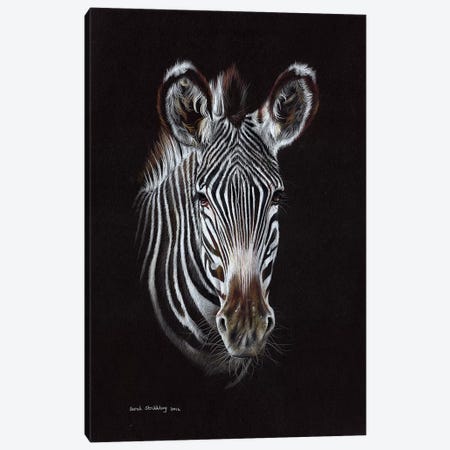 Zebra II Canvas Print #SAS119} by Sarah Stribbling Canvas Print
