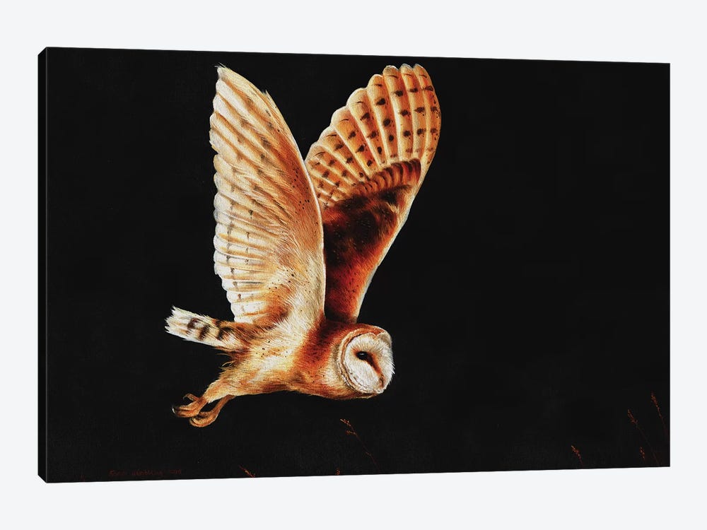 Barn owl by Sarah Stribbling 1-piece Art Print
