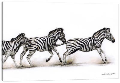 Zebras Running Canvas Art Print - Photorealism Art