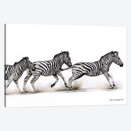 Zebras Running Canvas Print #SAS123} by Sarah Stribbling Canvas Art