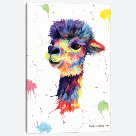 Multicolor Alpaca Canvas Print #SAS124} by Sarah Stribbling Art Print