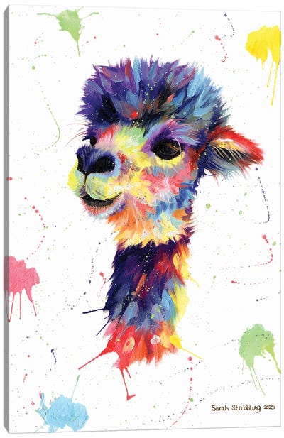 Multicolor Alpaca Canvas Art Print - Sarah Stribbling