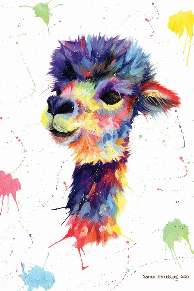 Llamas & Alpacas: Multicolor Alpaca by Sarah Stribbling