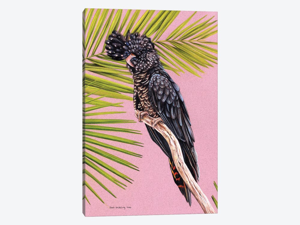Black Cockatoo by Sarah Stribbling 1-piece Art Print