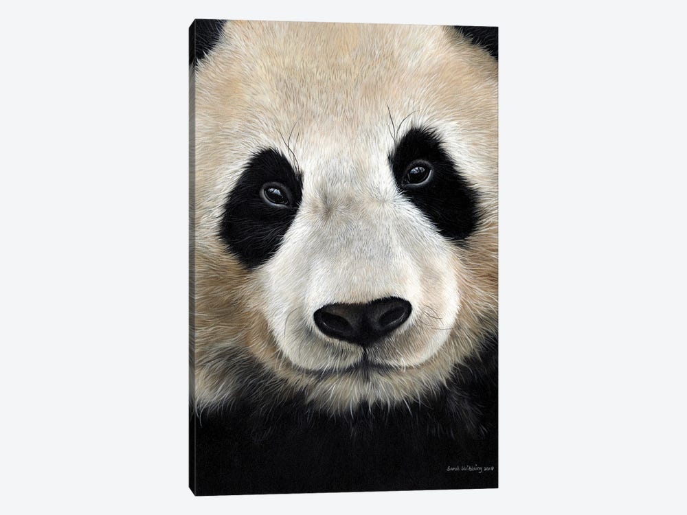 Giant Panda by Sarah Stribbling 1-piece Art Print