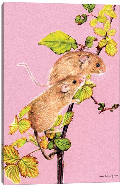 Harvest Mice Canvas Art Print - Sarah Stribbling