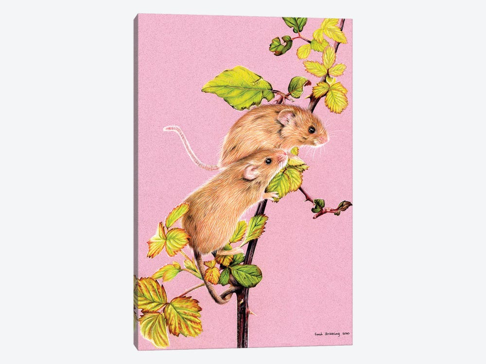 Harvest Mice by Sarah Stribbling 1-piece Canvas Art Print