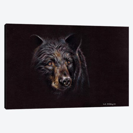 Bear Black Canvas Print #SAS12} by Sarah Stribbling Canvas Artwork