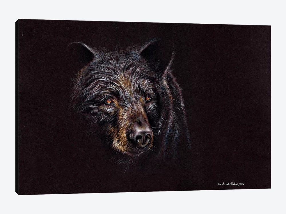 Bear Black by Sarah Stribbling 1-piece Canvas Artwork