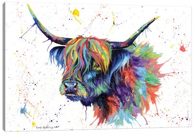 Multicolor Highland Cow Canvas Art Print - Sarah Stribbling