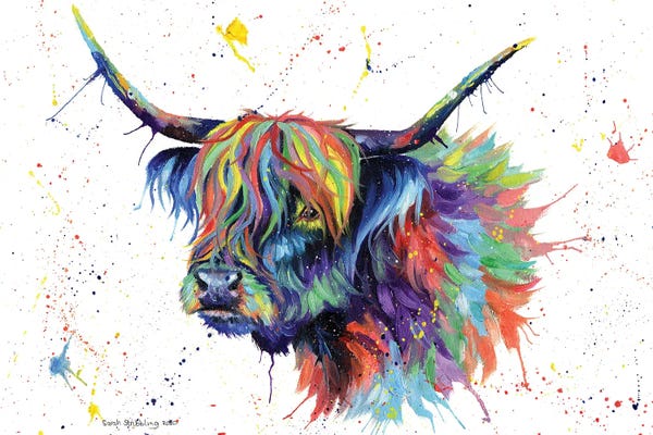 Colorburst: Multicolor Highland Cow by Sarah Stribbling