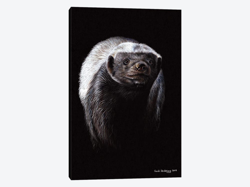Honey Badger by Sarah Stribbling 1-piece Canvas Art Print