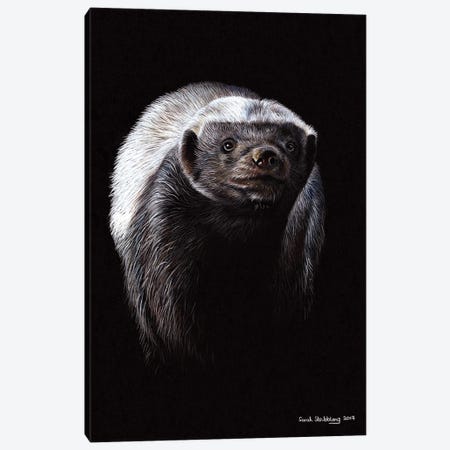 Honey Badger Canvas Print #SAS132} by Sarah Stribbling Canvas Art Print