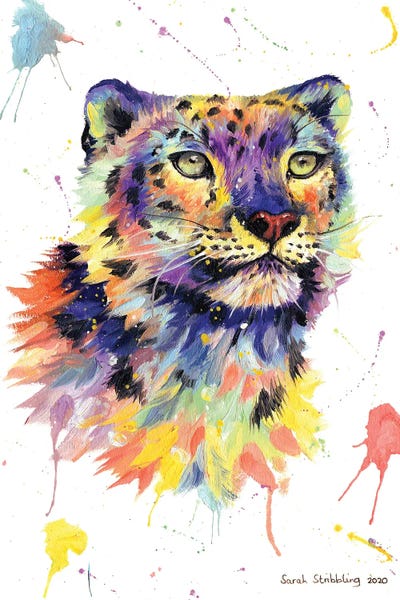 Leopards: Over The Rainbow by Sarah Stribbling