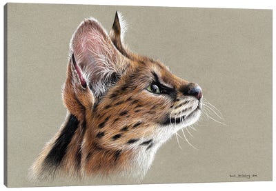 Serval Canvas Art Print - Sarah Stribbling