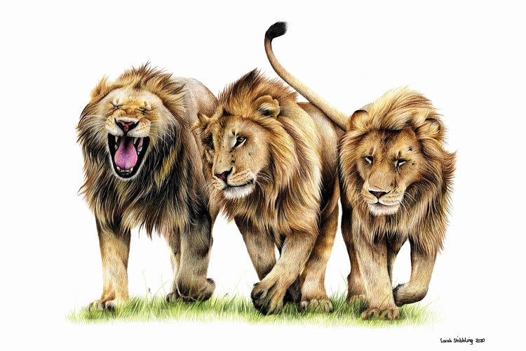 Three Kings