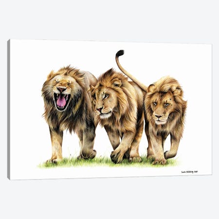 Three Kings Canvas Print #SAS136} by Sarah Stribbling Canvas Wall Art