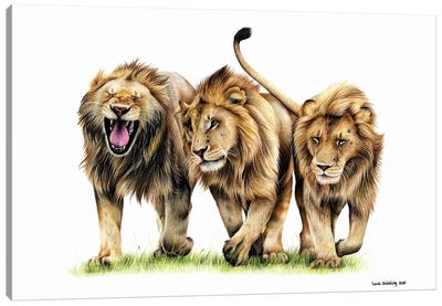 Three Kings Canvas Art Print - Sarah Stribbling