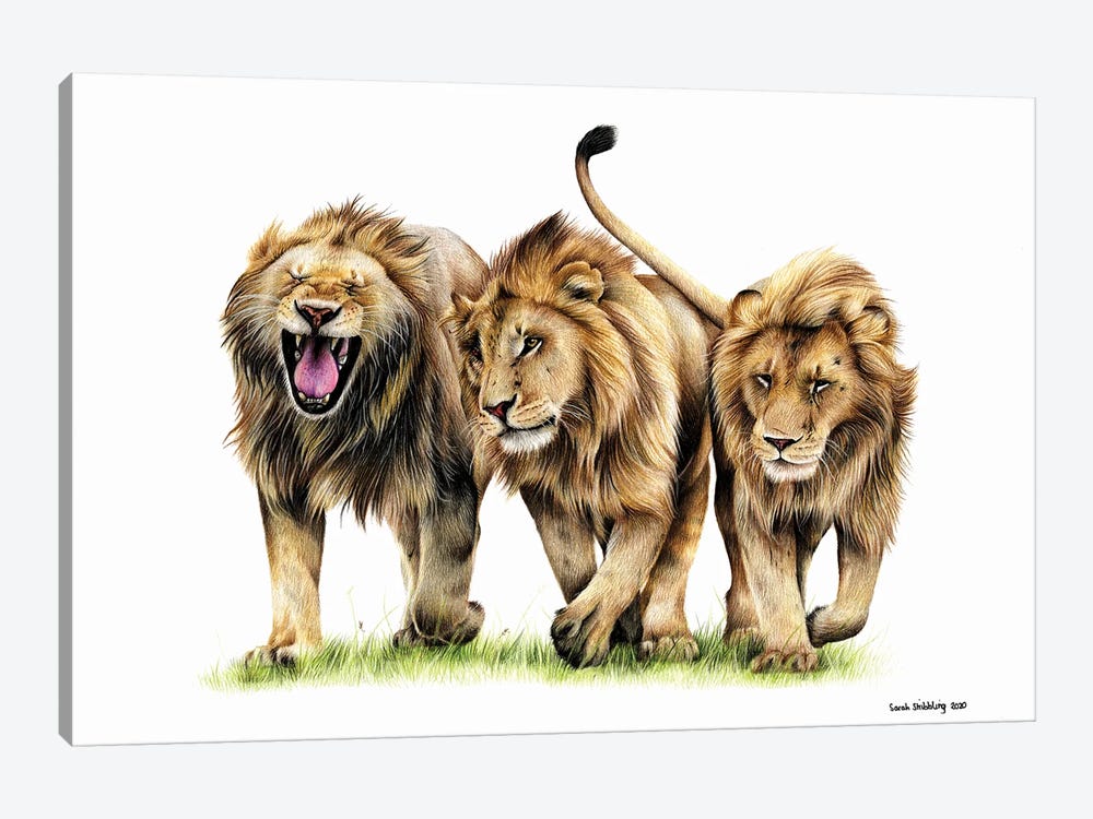 Three Kings by Sarah Stribbling 1-piece Art Print