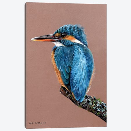Kingfisher Pastel Drawing Canvas Print #SAS137} by Sarah Stribbling Canvas Art
