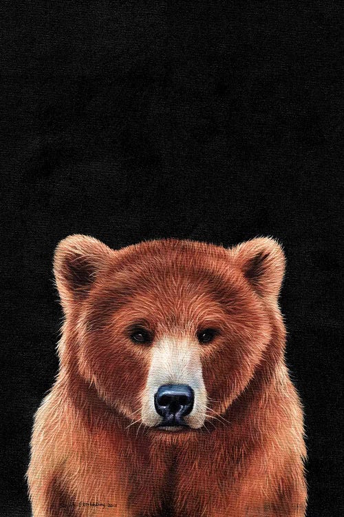 Bear 