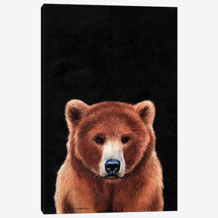 Bear  Canvas Print #SAS13} by Sarah Stribbling Canvas Art