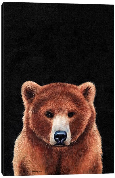 Bear  Canvas Art Print - Sarah Stribbling