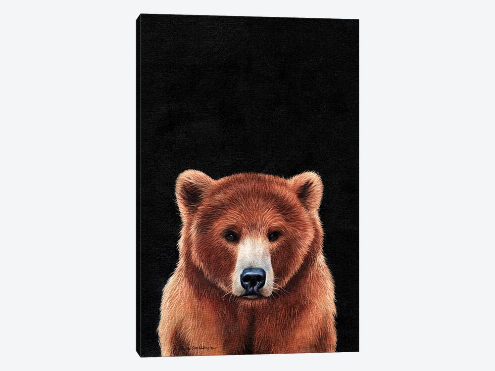 Bear  by Sarah Stribbling 1-piece Canvas Print