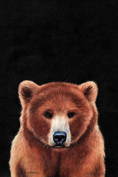 Bear 