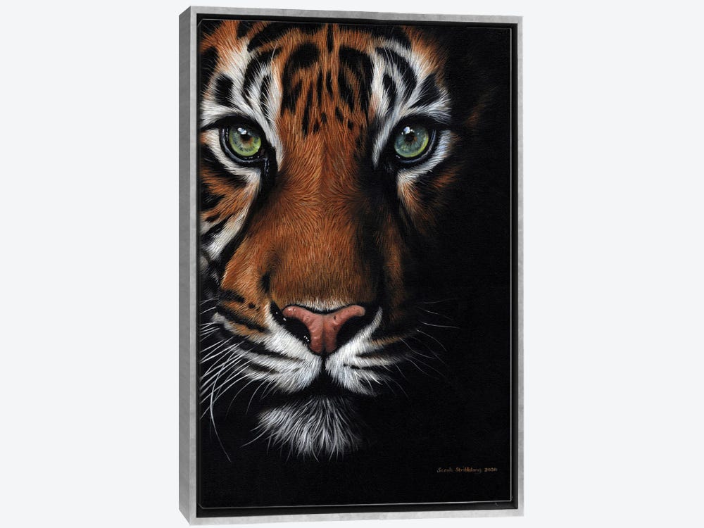 wild bengal tiger line art pattern design  Photographic Print for Sale by  Janckevannwyk