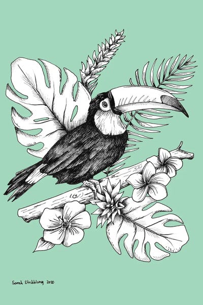 Toucan by Sarah Stribbling art print