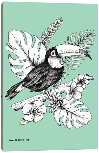 Toucan Canvas Art Print - Sarah Stribbling