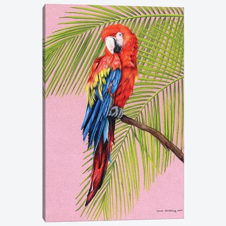Scarlet Macaw Canvas Print #SAS142} by Sarah Stribbling Canvas Artwork