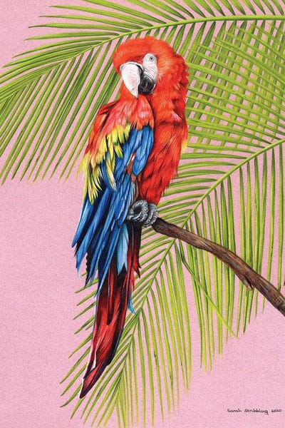 Tropical Leaves: Scarlet Macaw by Sarah Stribbling