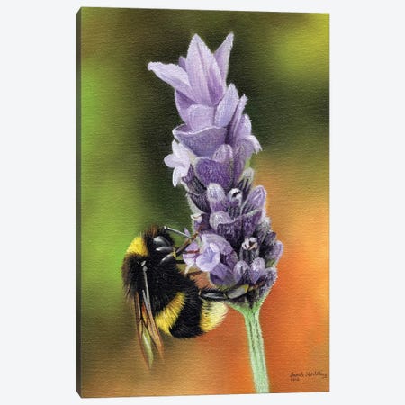 Bee On A Flower Canvas Print #SAS14} by Sarah Stribbling Canvas Print