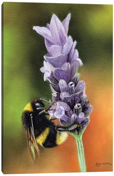 Bee On A Flower Canvas Art Print - Sarah Stribbling