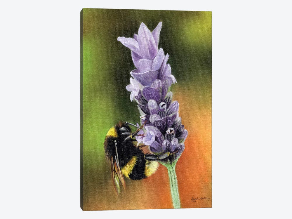 Bee On A Flower by Sarah Stribbling 1-piece Canvas Art