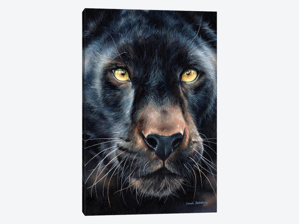 Black Panther by Sarah Stribbling 1-piece Art Print
