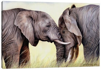 African Elephants Canvas Art Print - Sarah Stribbling
