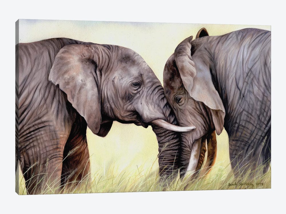 African Elephants by Sarah Stribbling 1-piece Canvas Artwork