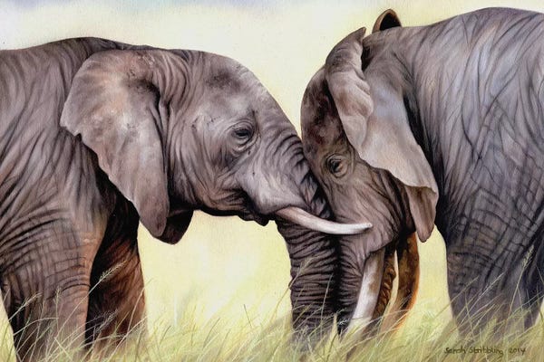 Fine Art Safari: African Elephants by Sarah Stribbling