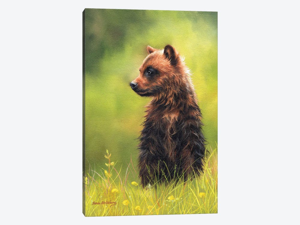 Brown Bear Cub by Sarah Stribbling 1-piece Canvas Art Print